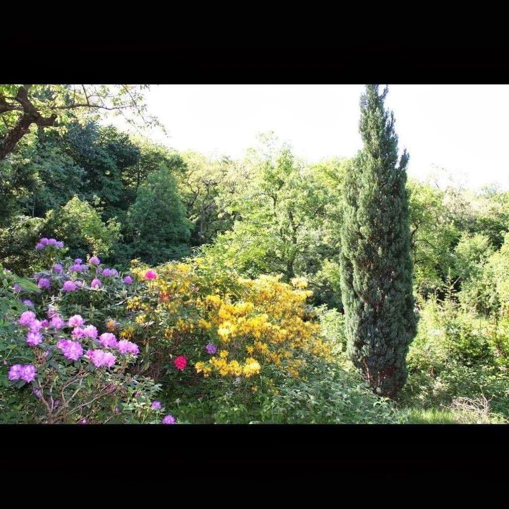 Prodej domu 30 m², pozemek 890 m², Wien, Wien Prodej domu 30 m², pozemek 890 m², Wien, Wien