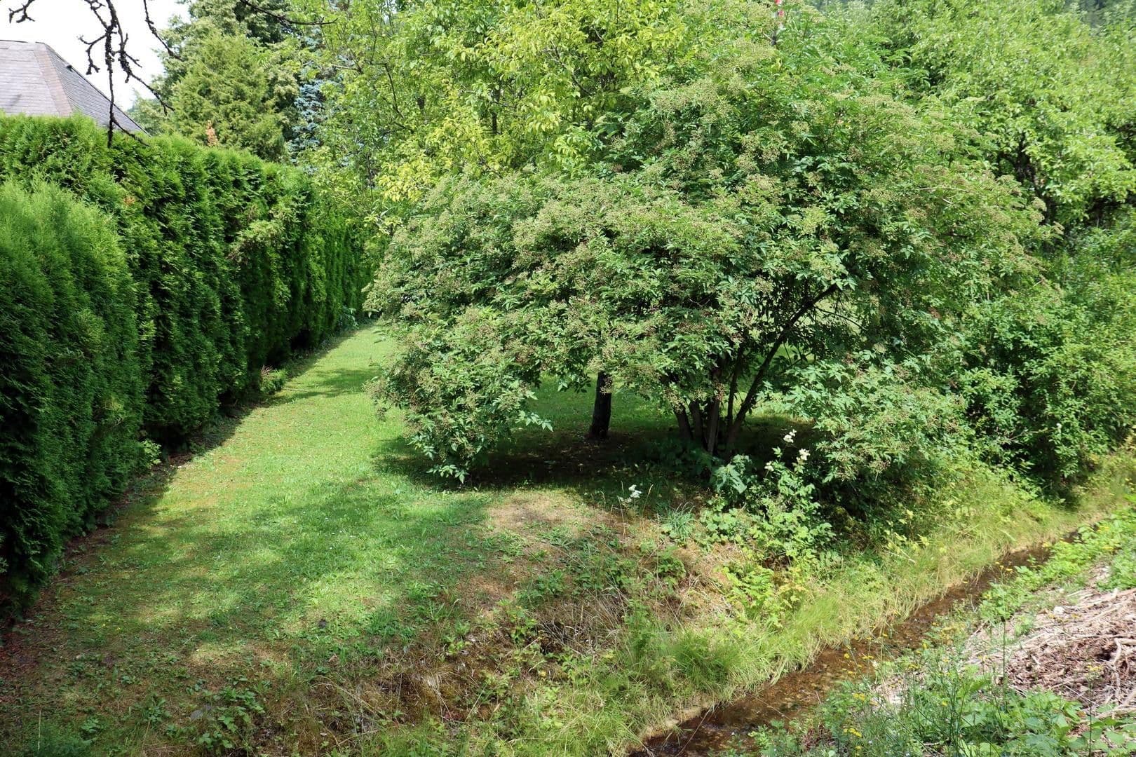 Prodej domu 210 m², pozemek 1.295 m², Reichenbach am Heuberg, Bádensko-Württembersko Prodej domu 210 m², pozemek 1.295 m², Reichenbach am Heuberg, Bádensko-Württembersko