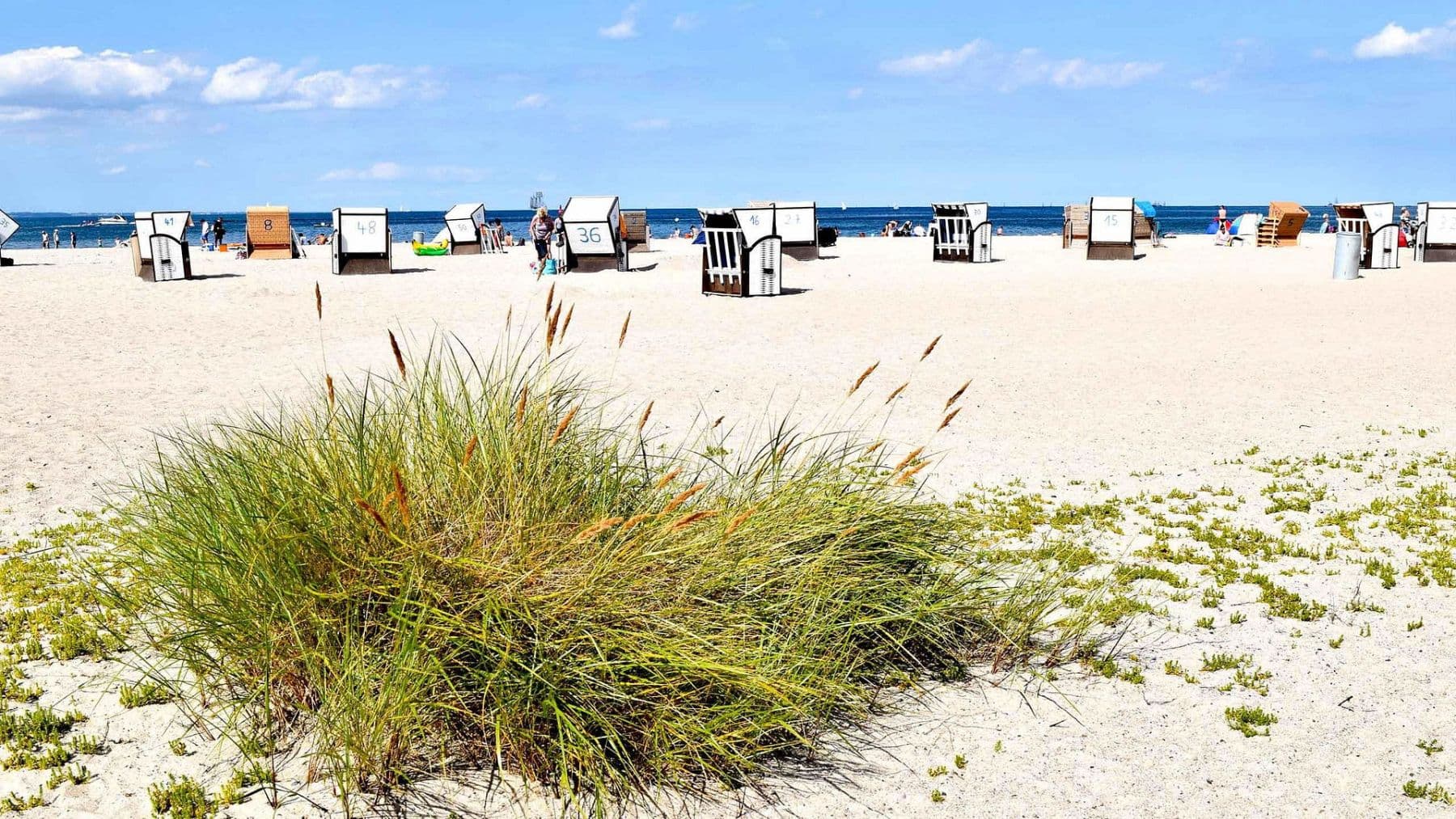 Prodej domu 360 m², pozemek 7.123 m², Dassow, Mecklenburg-Vorpommern Prodej domu 360 m², pozemek 7.123 m², Dassow, Mecklenburg-Vorpommern