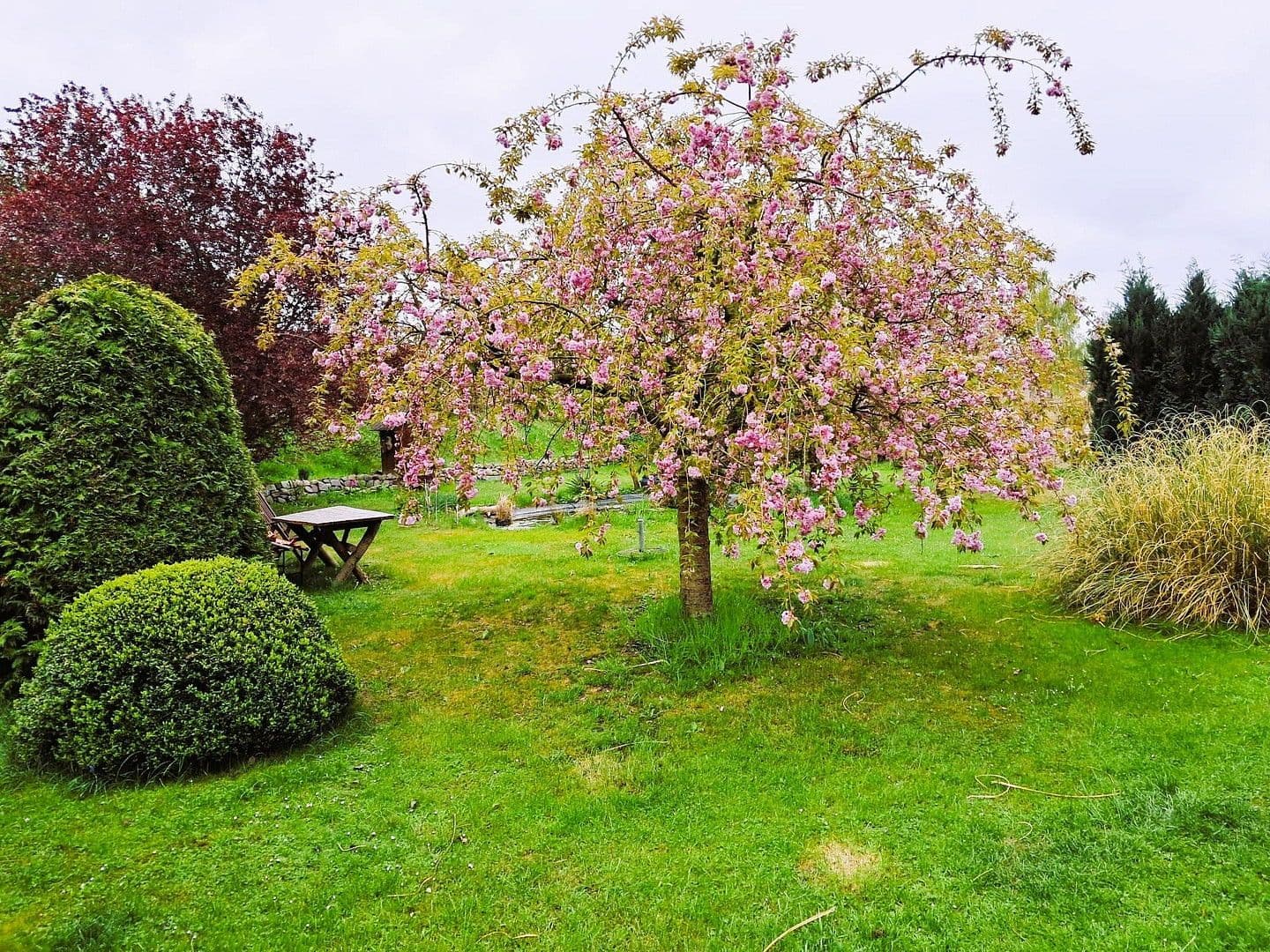 Prodej domu 360 m², pozemek 7.123 m², Dassow, Mecklenburg-Vorpommern Prodej domu 360 m², pozemek 7.123 m², Dassow, Mecklenburg-Vorpommern