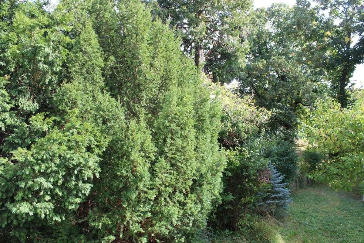 Prodej bytu 4+kk 110 m², Wien, Wien Prodej bytu 4+kk 110 m², Wien, Wien