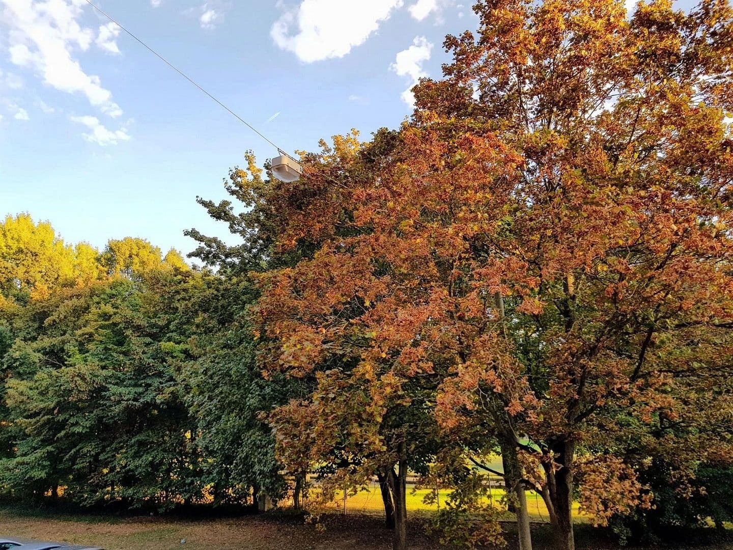 Pronájem bytu 2+1 60 m², Nürnberg, Bavorsko Pronájem bytu 2+1 60 m², Nürnberg, Bavorsko