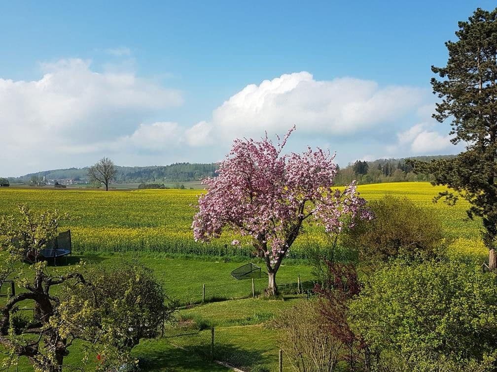 Prodej domu 200 m², pozemek 950 m², Bad Schussenried, Bádensko-Württembersko Prodej domu 200 m², pozemek 950 m², Bad Schussenried, Bádensko-Württembersko