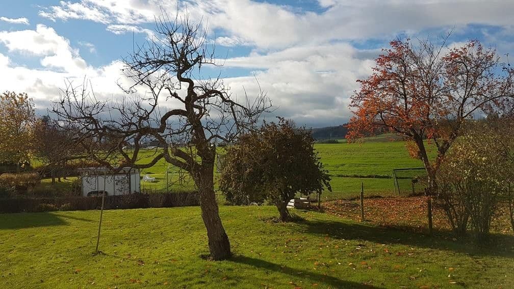 Prodej domu 200 m², pozemek 950 m², Bad Schussenried, Bádensko-Württembersko Prodej domu 200 m², pozemek 950 m², Bad Schussenried, Bádensko-Württembersko