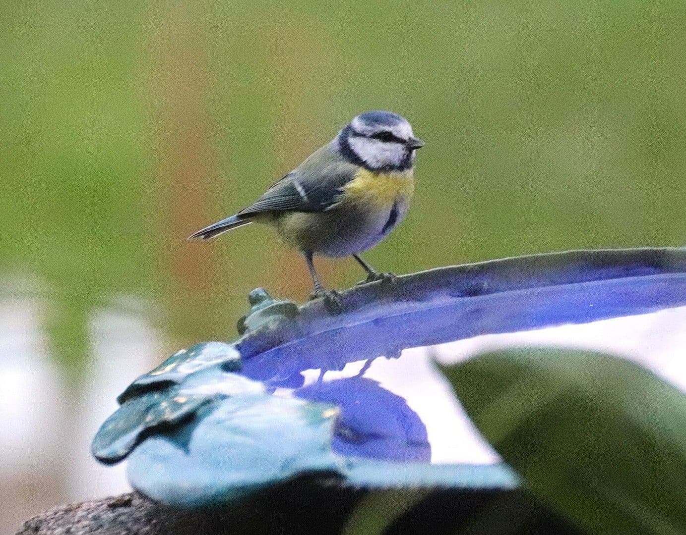 Prodej domu 358 m², pozemek 27.458 m², Gerinneweg 13, Ludwigsstadt, Bavorsko Prodej domu 358 m², pozemek 27.458 m², Gerinneweg 13, Ludwigsstadt, Bavorsko