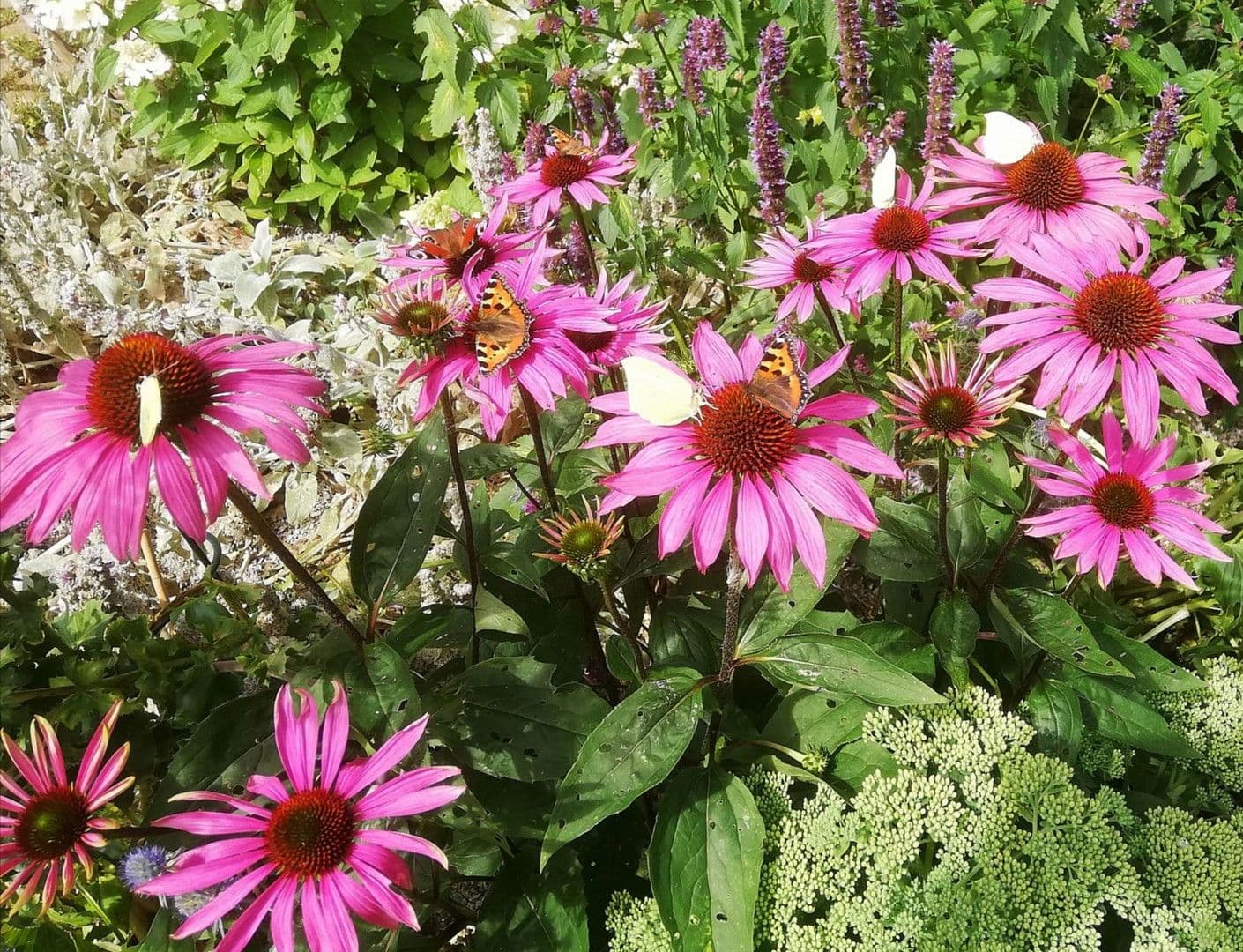 Prodej domu 358 m², pozemek 27.458 m², Gerinneweg 13, Ludwigsstadt, Bavorsko Prodej domu 358 m², pozemek 27.458 m², Gerinneweg 13, Ludwigsstadt, Bavorsko