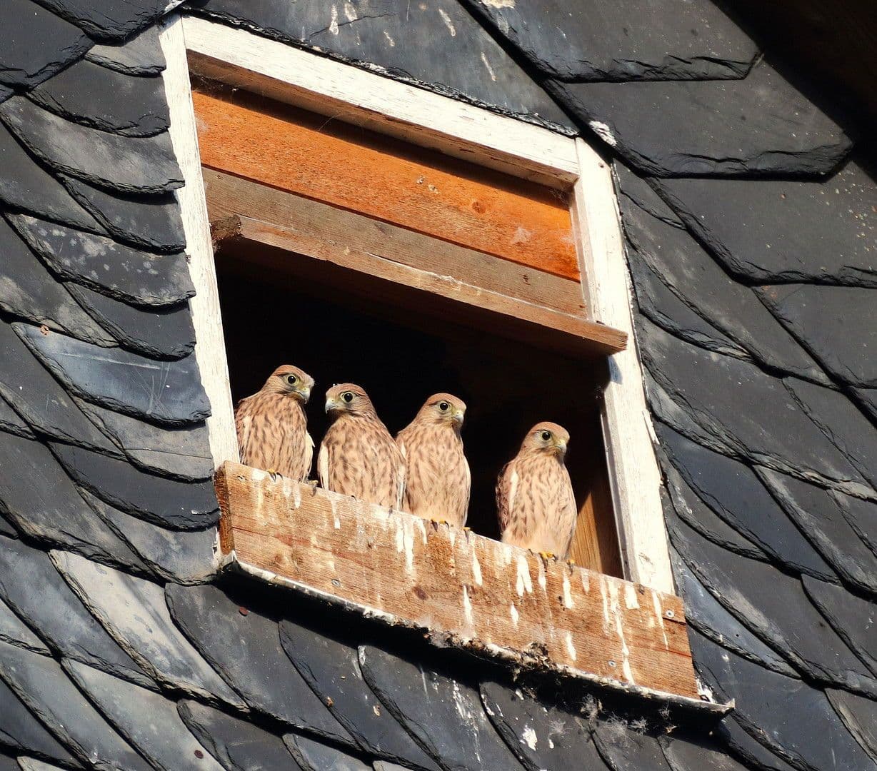 Prodej domu 358 m², pozemek 27.458 m², Gerinneweg 13, Ludwigsstadt, Bavorsko Prodej domu 358 m², pozemek 27.458 m², Gerinneweg 13, Ludwigsstadt, Bavorsko