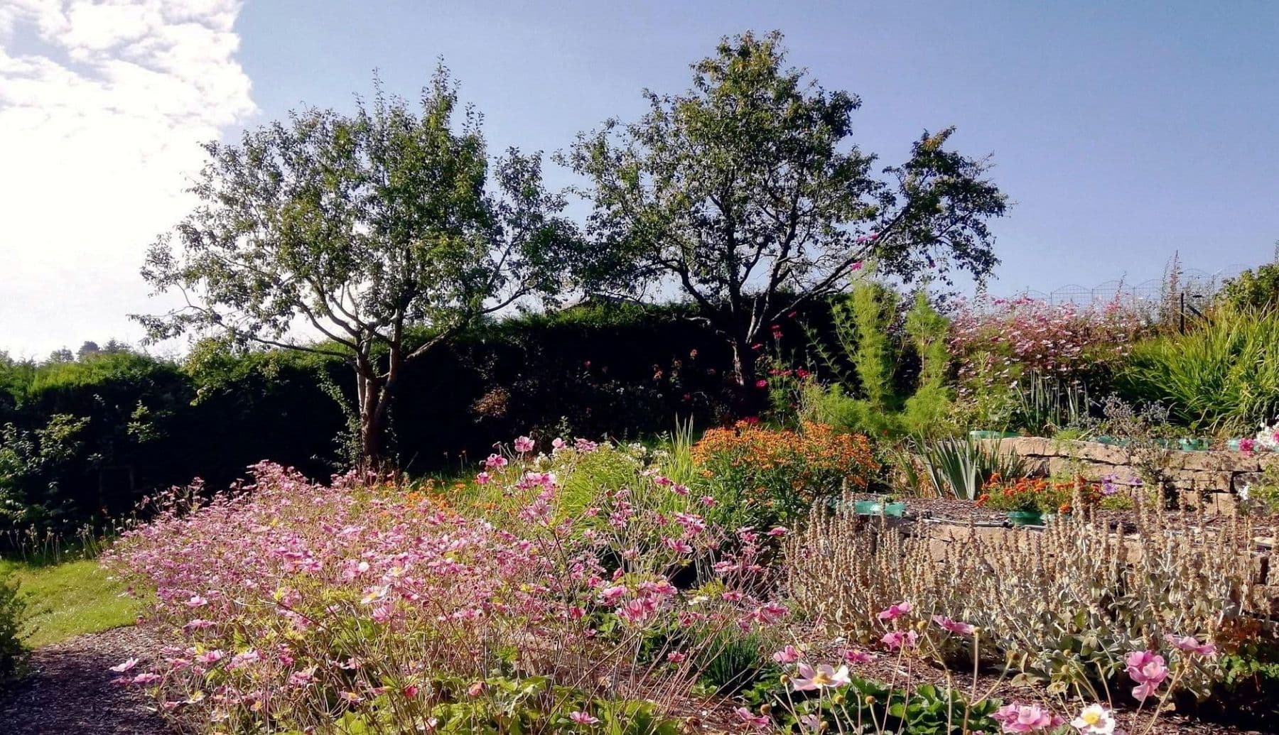 Prodej domu 358 m², pozemek 27.458 m², Gerinneweg 13, Ludwigsstadt, Bavorsko Prodej domu 358 m², pozemek 27.458 m², Gerinneweg 13, Ludwigsstadt, Bavorsko