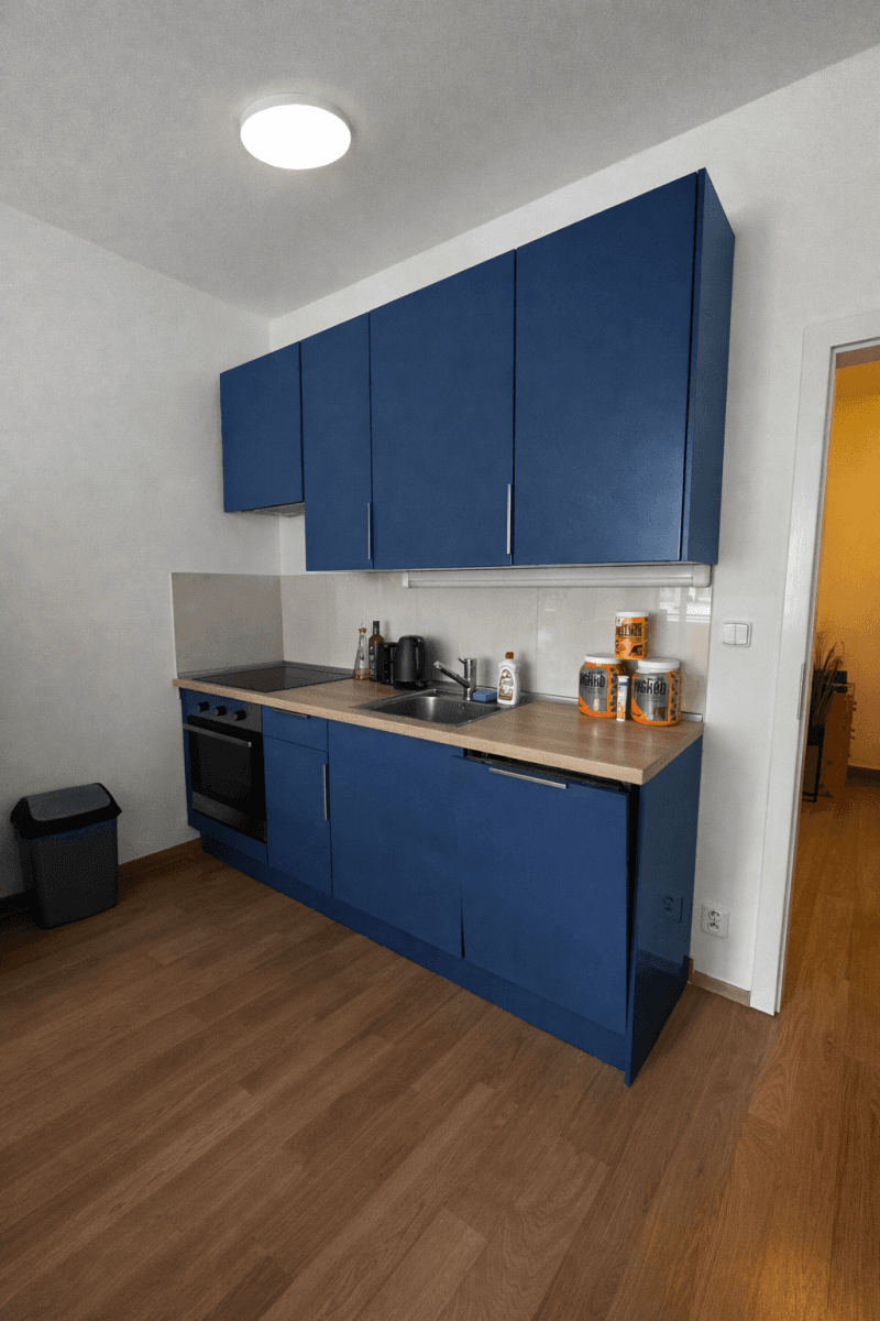 Pronájem bytu 1+kk 37 m², Hornoměcholupská, Praha, Praha Pronájem bytu 1+kk 37 m², Hornoměcholupská, Praha, Praha