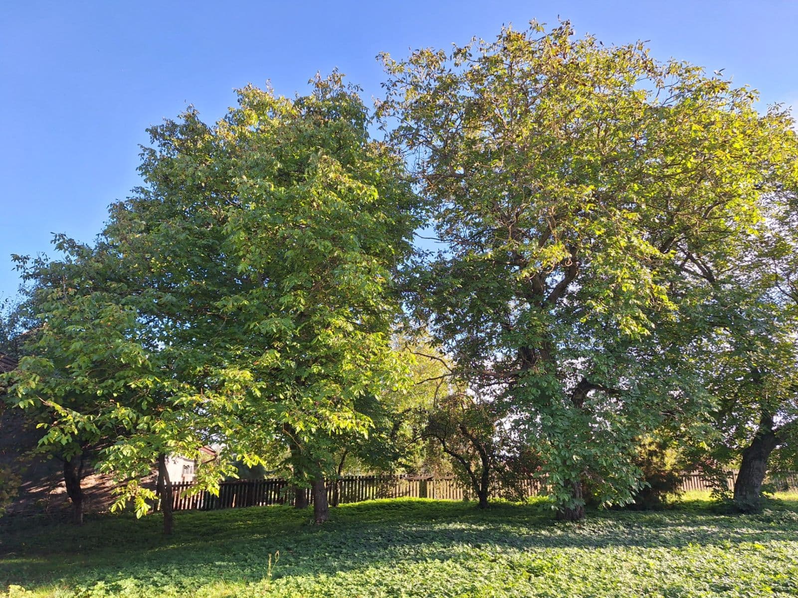 Prodej domu 145 m², pozemek 2.081 m², Mokré, Královéhradecký kraj Prodej domu 145 m², pozemek 2.081 m², Mokré, Královéhradecký kraj