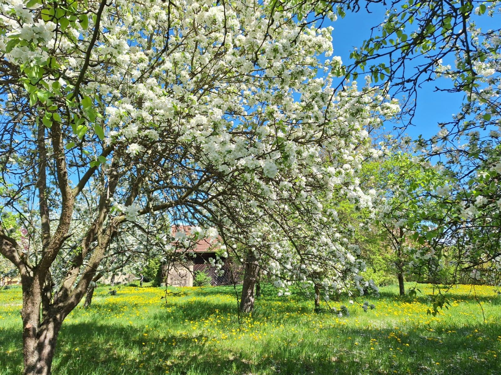 Prodej domu 145 m², pozemek 2.081 m², Mokré, Královéhradecký kraj Prodej domu 145 m², pozemek 2.081 m², Mokré, Královéhradecký kraj