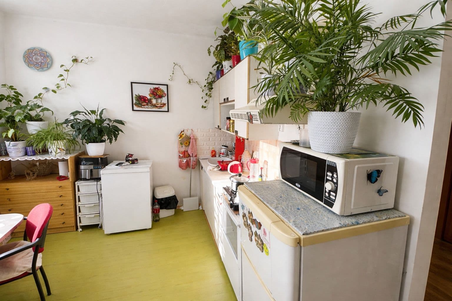 Prodej bytu 1+kk 33 m², Mládeže, Zruč nad Sázavou, Středočeský kraj Prodej bytu 1+kk 33 m², Mládeže, Zruč nad Sázavou, Středočeský kraj