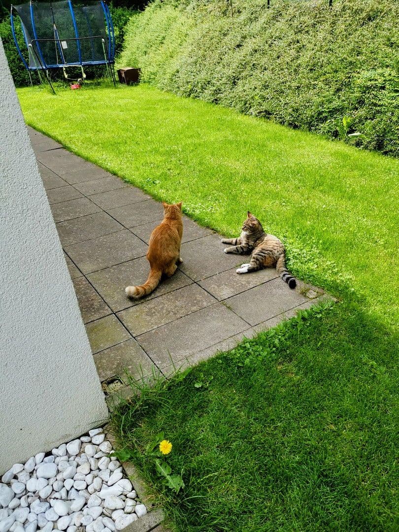 Prodej bytu 5+1 124 m², Seekirchen am Wallersee, Salcbursko Prodej bytu 5+1 124 m², Seekirchen am Wallersee, Salcbursko