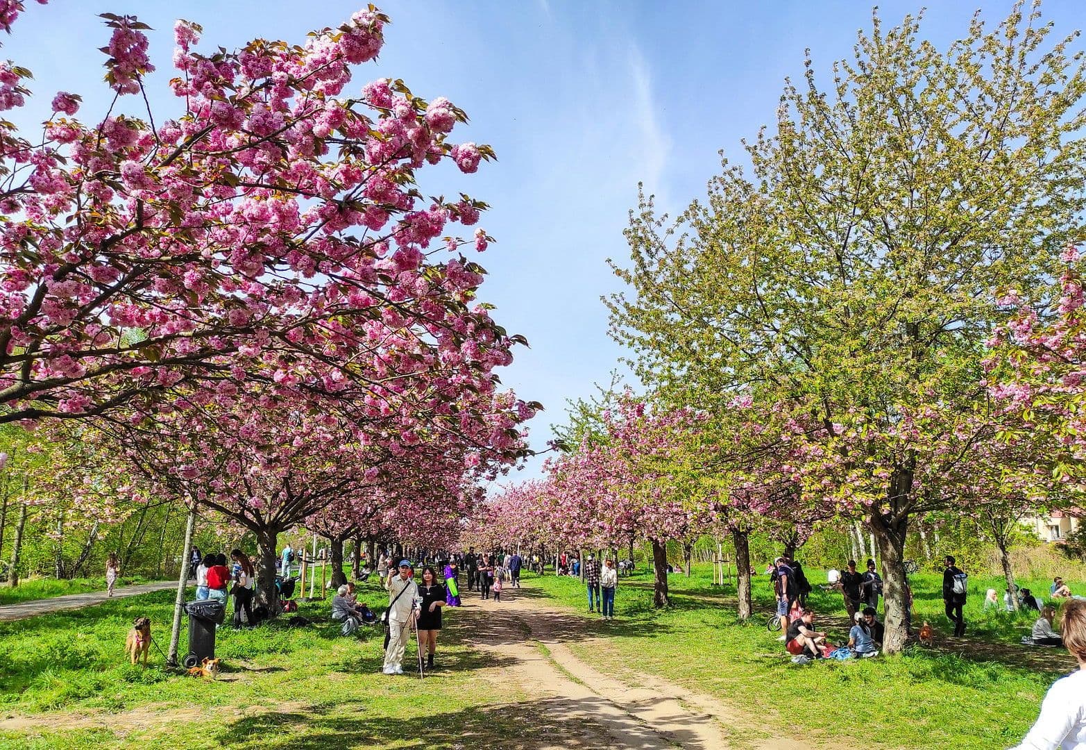 Prodej bytu 2+1 66 m², Unter den Eichen 54, Berlin, Berlín Prodej bytu 2+1 66 m², Unter den Eichen 54, Berlin, Berlín