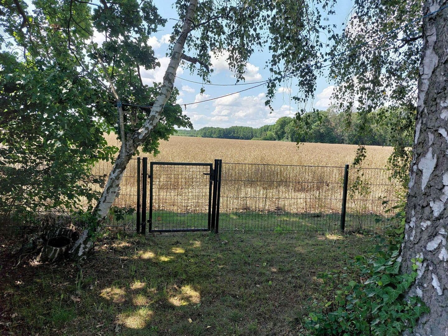 Prodej domu 25 m², pozemek 792 m², Beetzsee, Braniborsko Prodej domu 25 m², pozemek 792 m², Beetzsee, Braniborsko