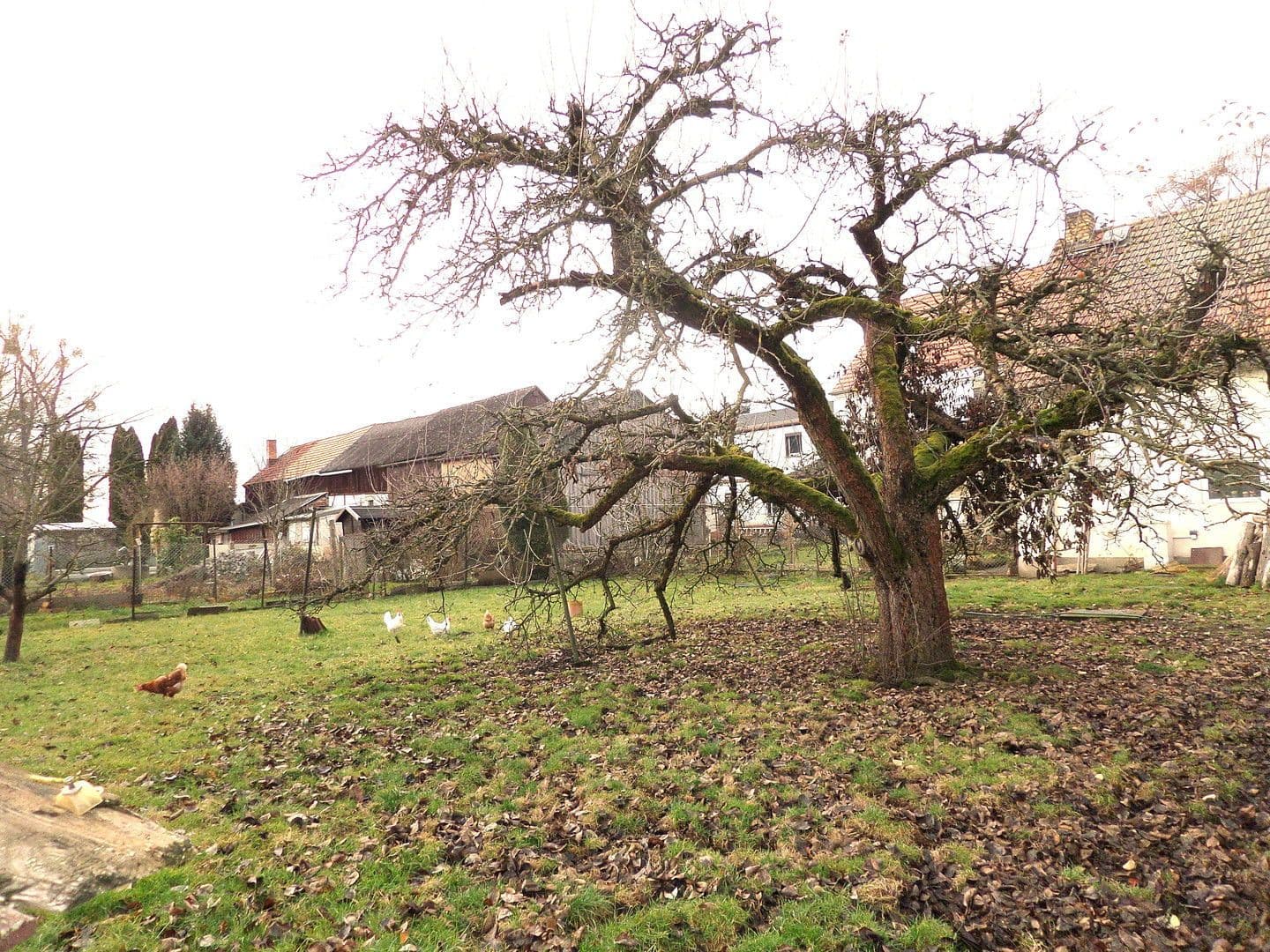 Prodej domu 219 m², pozemek 1.780 m², Bernsdorf, Sasko Prodej domu 219 m², pozemek 1.780 m², Bernsdorf, Sasko