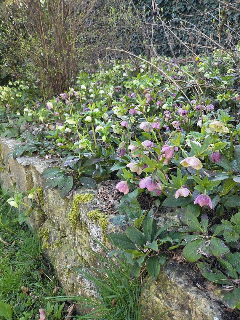 Pronájem bytu 3+kk 142 m², Scheer, Bádensko-Württembersko Pronájem bytu 3+kk 142 m², Scheer, Bádensko-Württembersko