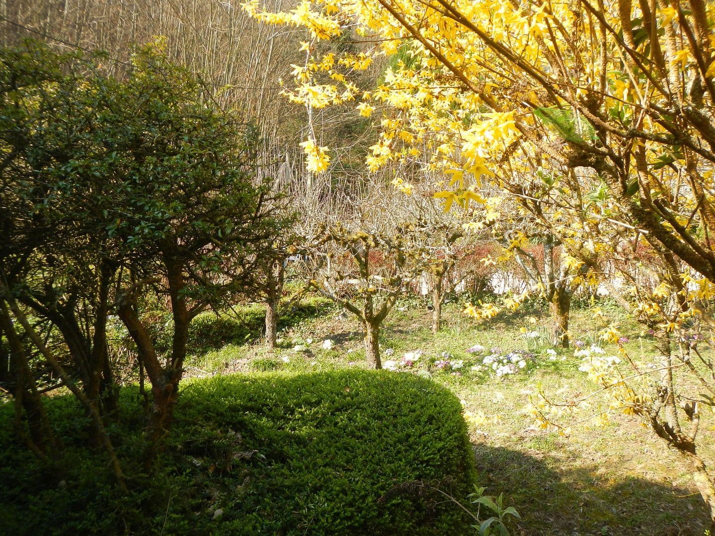 Prodej domu 227 m², pozemek 487 m², Neustadt an der Weinstraße, Porýní-Falc Prodej domu 227 m², pozemek 487 m², Neustadt an der Weinstraße, Porýní-Falc