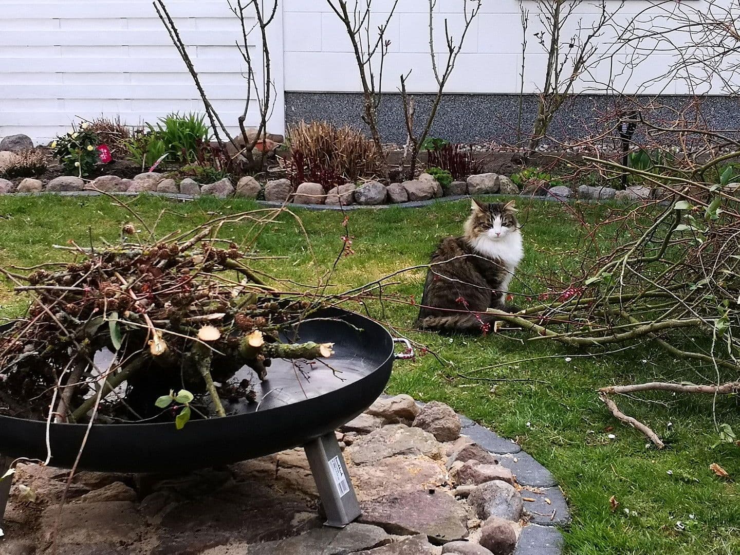 Prodej domu 164 m², pozemek 548 m², Blankensee, Mecklenburg-Vorpommern Prodej domu 164 m², pozemek 548 m², Blankensee, Mecklenburg-Vorpommern