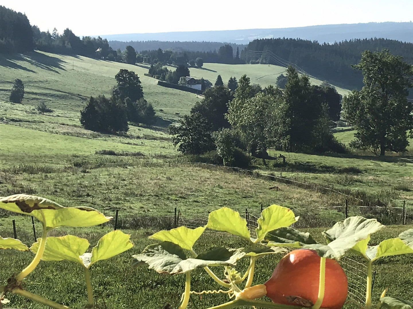 Prodej domu 209 m², pozemek 362 m², Lenzkirch, Bádensko-Württembersko Prodej domu 209 m², pozemek 362 m², Lenzkirch, Bádensko-Württembersko