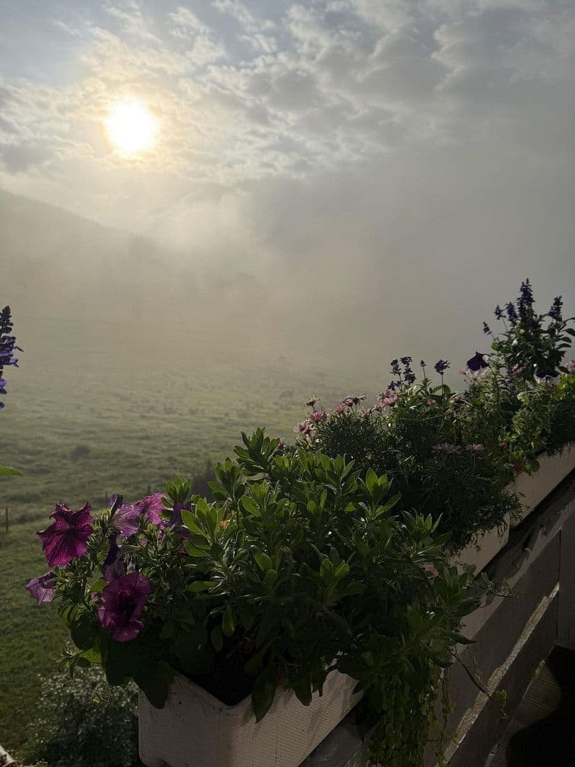 Prodej domu 209 m², pozemek 362 m², Lenzkirch, Bádensko-Württembersko Prodej domu 209 m², pozemek 362 m², Lenzkirch, Bádensko-Württembersko