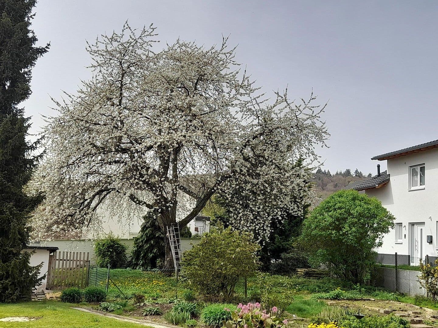 Prodej domu 180 m², pozemek 1.400 m², Marburg, Hessen Prodej domu 180 m², pozemek 1.400 m², Marburg, Hessen