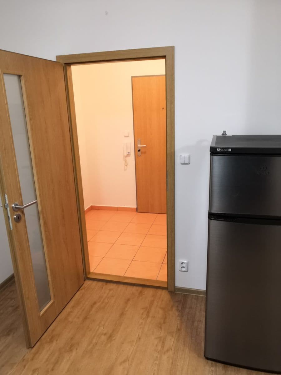 Pronájem bytu 1+kk 35 m², Božetěchova, Brno, Jihomoravský kraj Pronájem bytu 1+kk 35 m², Božetěchova, Brno, Jihomoravský kraj