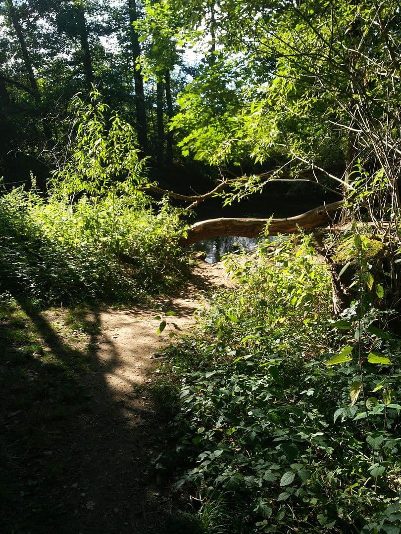 Pronájem bytu 2+kk 61 m², Nürnberg, Bavorsko Pronájem bytu 2+kk 61 m², Nürnberg, Bavorsko