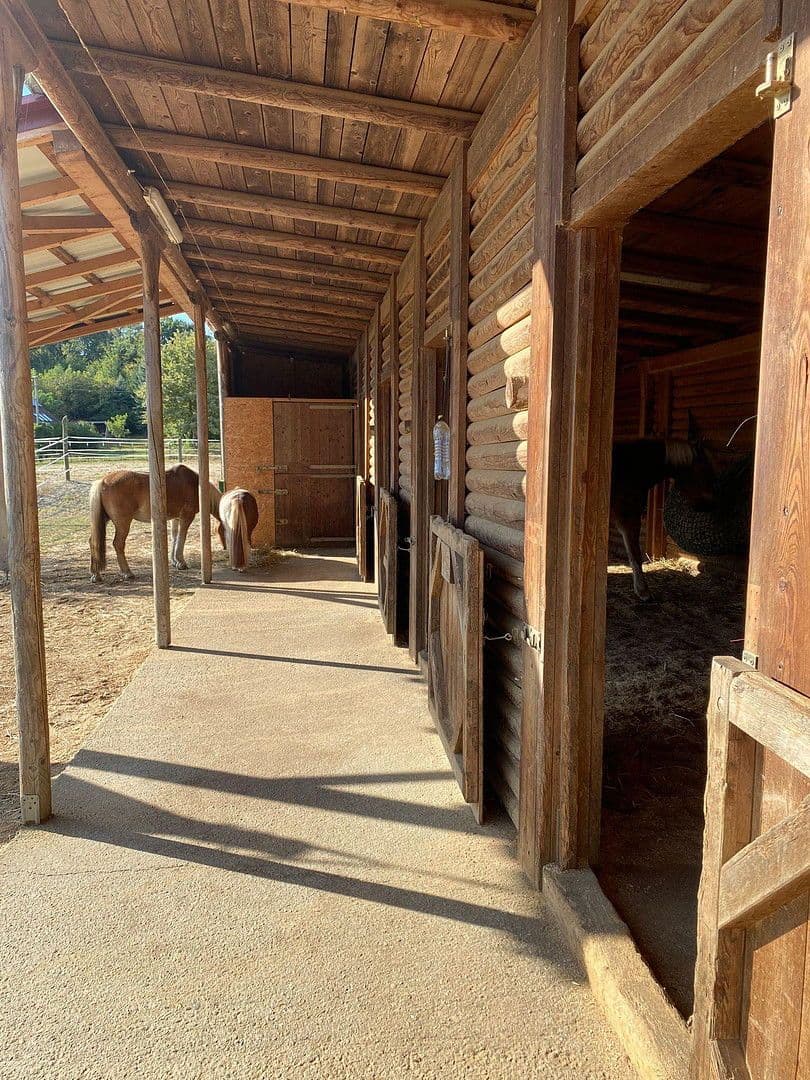 Prodej domu 245 m², pozemek 12.000 m², Kleinmürbisch 30, Kleinmürbisch, Hradsko Prodej domu 245 m², pozemek 12.000 m², Kleinmürbisch 30, Kleinmürbisch, Hradsko