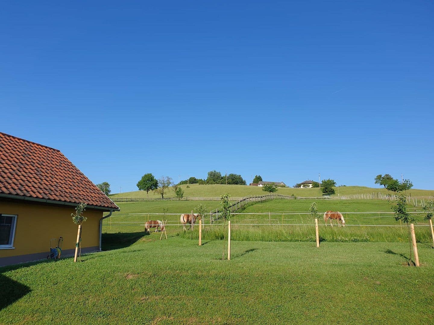 Prodej domu 245 m², pozemek 12.000 m², Kleinmürbisch 30, Kleinmürbisch, Hradsko Prodej domu 245 m², pozemek 12.000 m², Kleinmürbisch 30, Kleinmürbisch, Hradsko