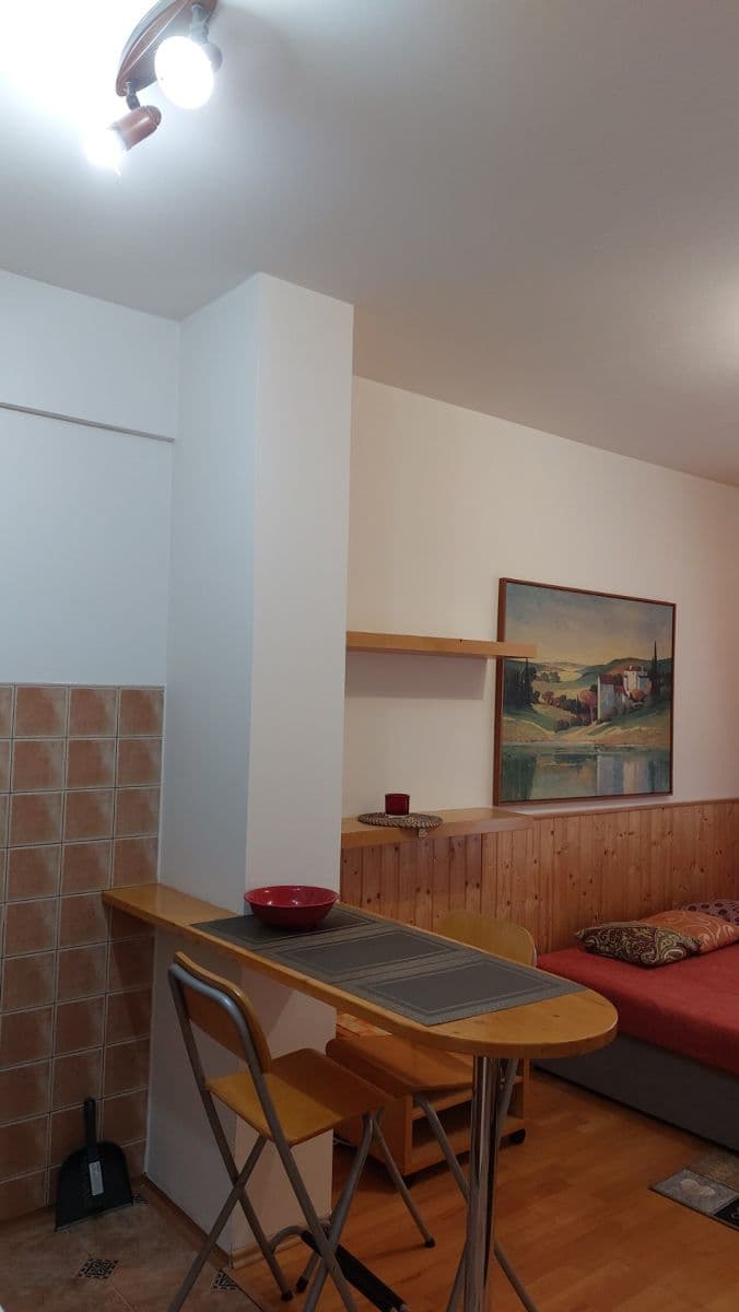 Pronájem bytu 1+kk 27 m², Jemnická, Praha, Praha Pronájem bytu 1+kk 27 m², Jemnická, Praha, Praha