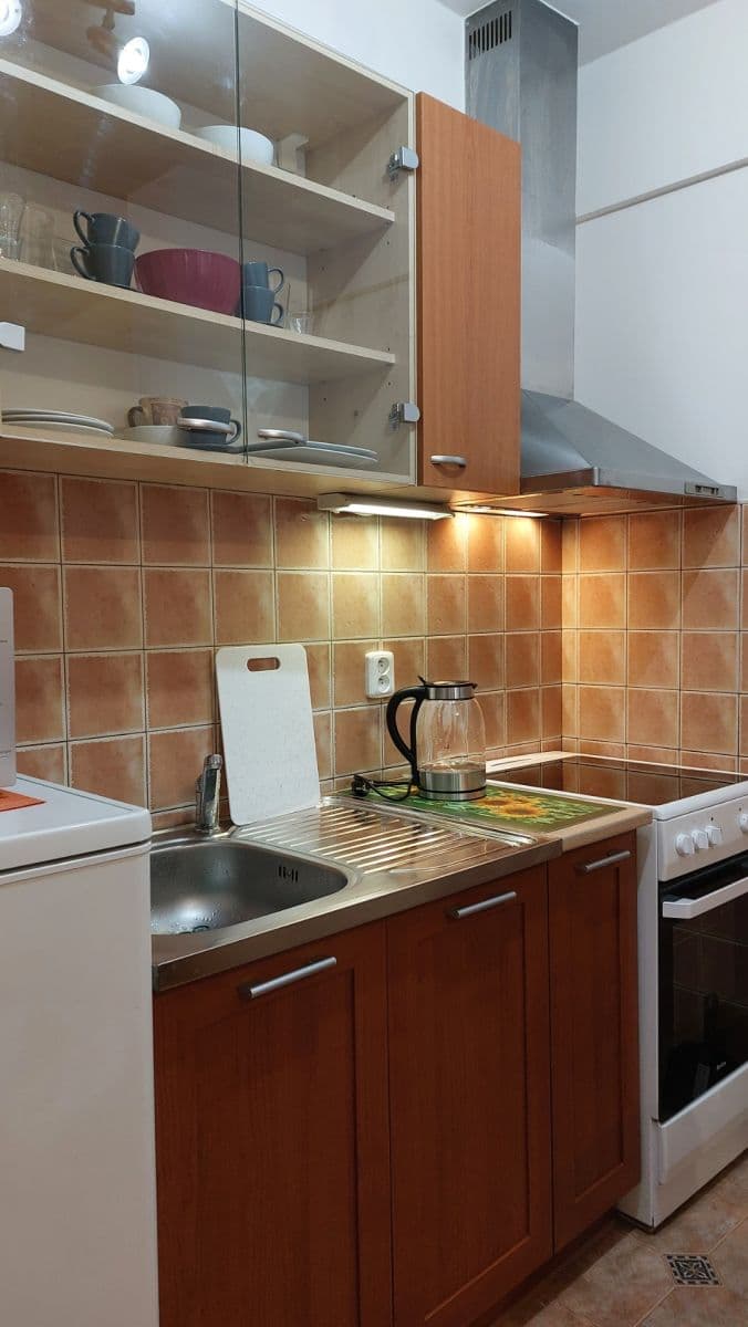 Pronájem bytu 1+kk 27 m², Jemnická, Praha, Praha Pronájem bytu 1+kk 27 m², Jemnická, Praha, Praha