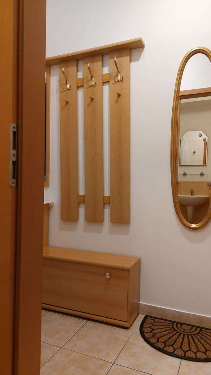 Pronájem bytu 1+kk 27 m², Jemnická, Praha, Praha Pronájem bytu 1+kk 27 m², Jemnická, Praha, Praha