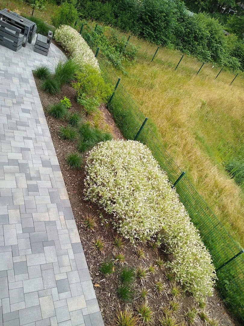 Pronájem bytu 3+1 90 m², Devkoppel 23, Scharbeutz, Šlesvicko-Holštýnsko Pronájem bytu 3+1 90 m², Devkoppel 23, Scharbeutz, Šlesvicko-Holštýnsko