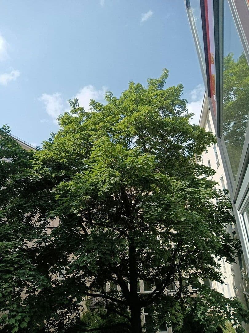 Prodej bytu 2+1 75 m², Mathildenstr. 12, München, Bavorsko Prodej bytu 2+1 75 m², Mathildenstr. 12, München, Bavorsko