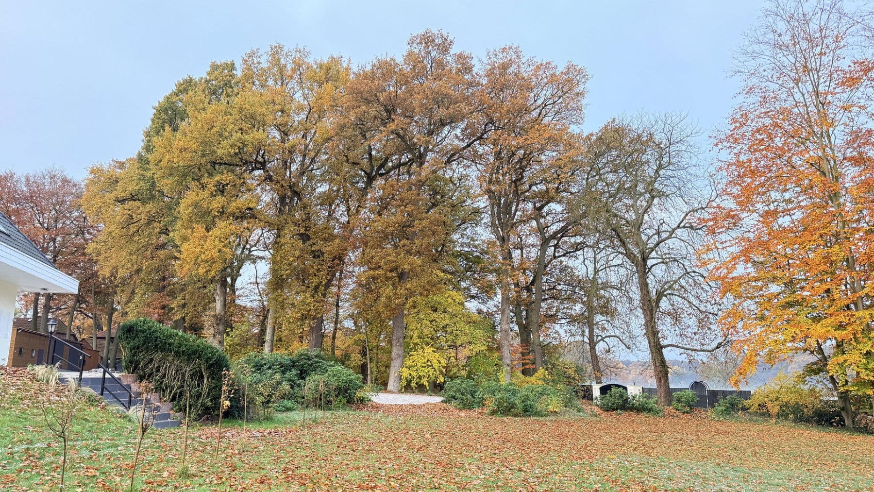 Prodej domu 877 m², pozemek 23.976 m², Balge, Dolní Sasko Prodej domu 877 m², pozemek 23.976 m², Balge, Dolní Sasko