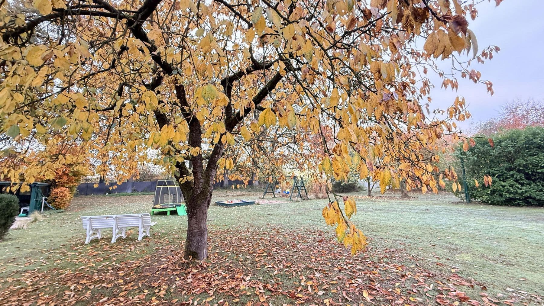 Prodej domu 877 m², pozemek 23.976 m², Balge, Dolní Sasko Prodej domu 877 m², pozemek 23.976 m², Balge, Dolní Sasko