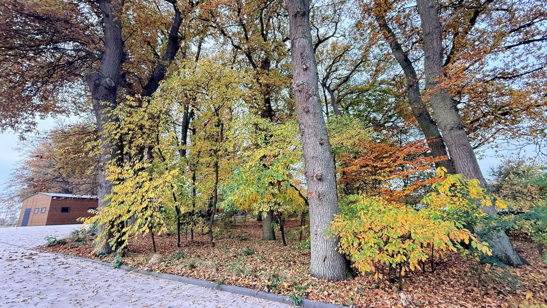 Prodej domu 877 m², pozemek 23.976 m², Balge, Dolní Sasko Prodej domu 877 m², pozemek 23.976 m², Balge, Dolní Sasko