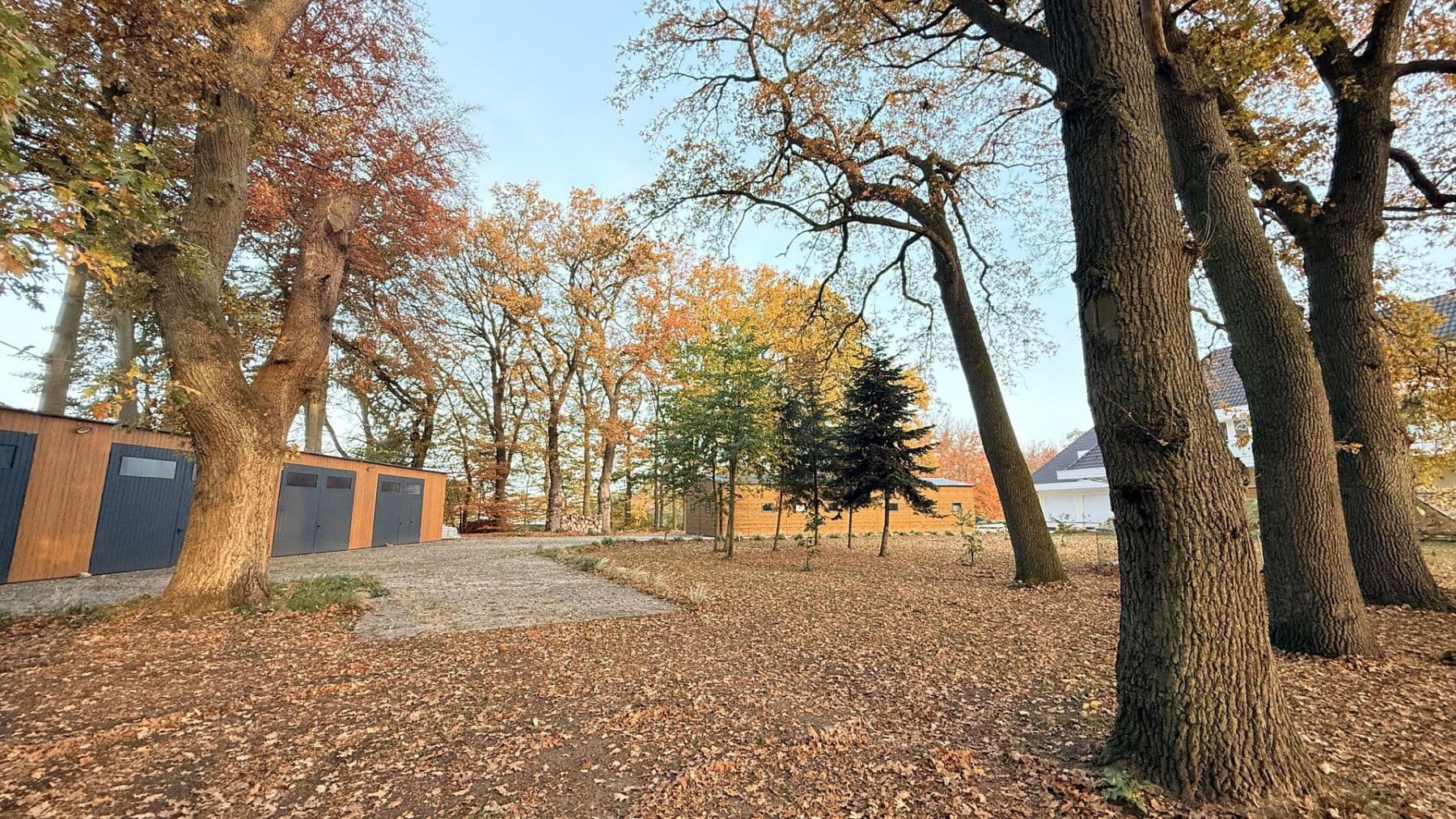 Prodej domu 877 m², pozemek 23.976 m², Balge, Dolní Sasko Prodej domu 877 m², pozemek 23.976 m², Balge, Dolní Sasko