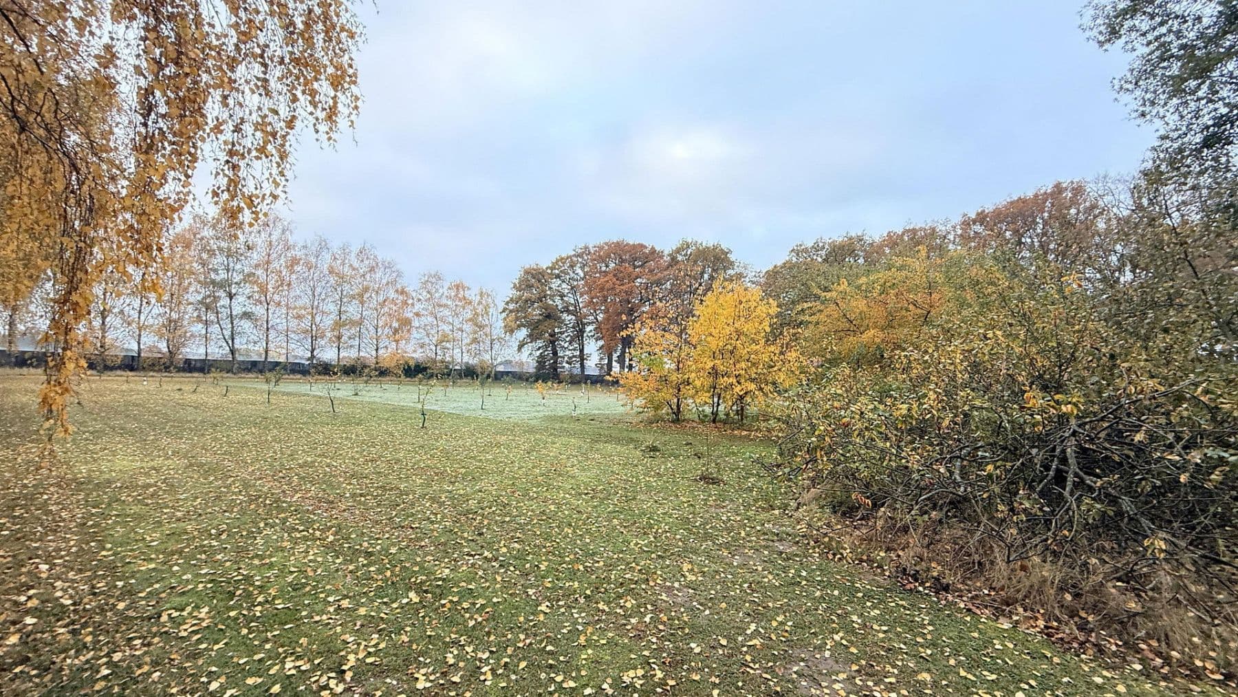 Prodej domu 877 m², pozemek 23.976 m², Balge, Dolní Sasko Prodej domu 877 m², pozemek 23.976 m², Balge, Dolní Sasko