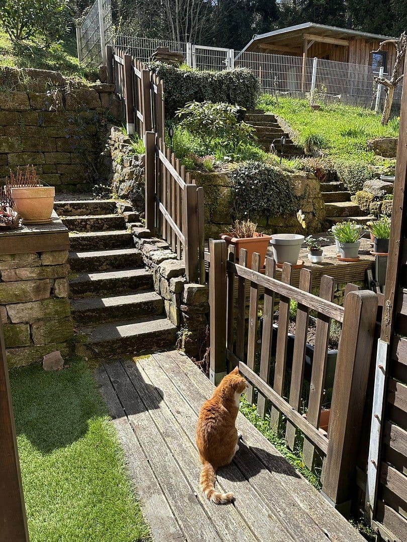 Pronájem bytu 3+1 80 m², Calw, Bádensko-Württembersko Pronájem bytu 3+1 80 m², Calw, Bádensko-Württembersko