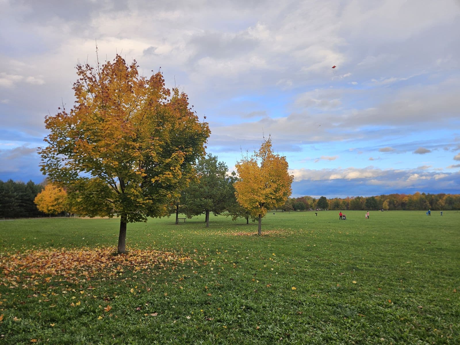 Pronájem bytu 47 m², Miroslava Hajna, Praha, Praha Pronájem bytu 47 m², Miroslava Hajna, Praha, Praha