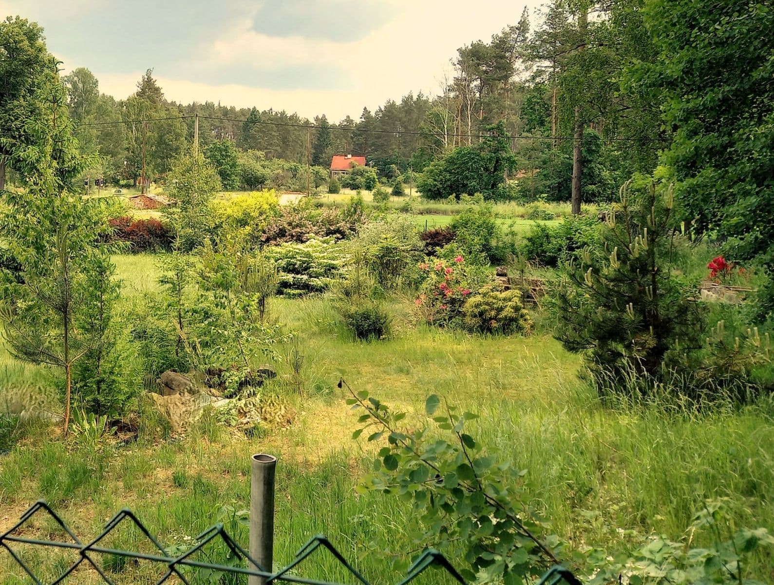 Prodej pozemku 1.742 m², Okna, Liberecký kraj Prodej pozemku 1.742 m², Okna, Liberecký kraj