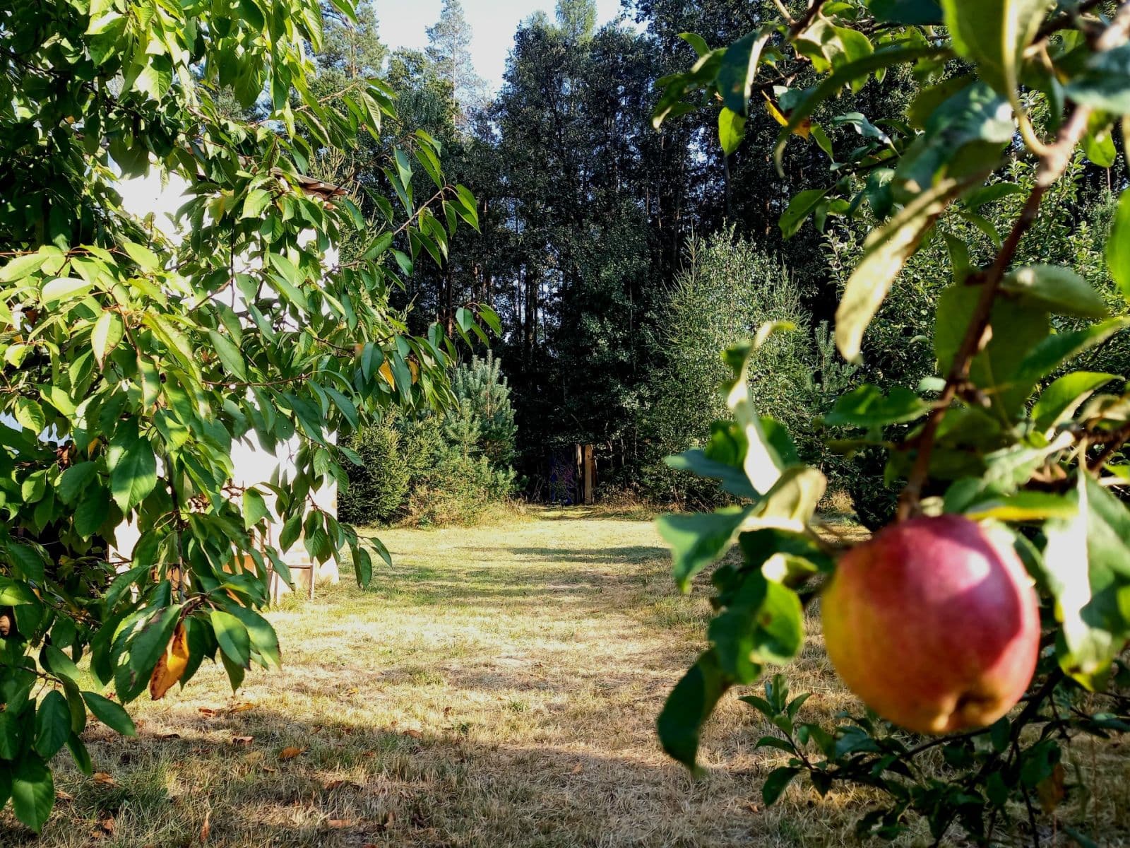 Prodej pozemku 1.742 m², Okna, Liberecký kraj Prodej pozemku 1.742 m², Okna, Liberecký kraj