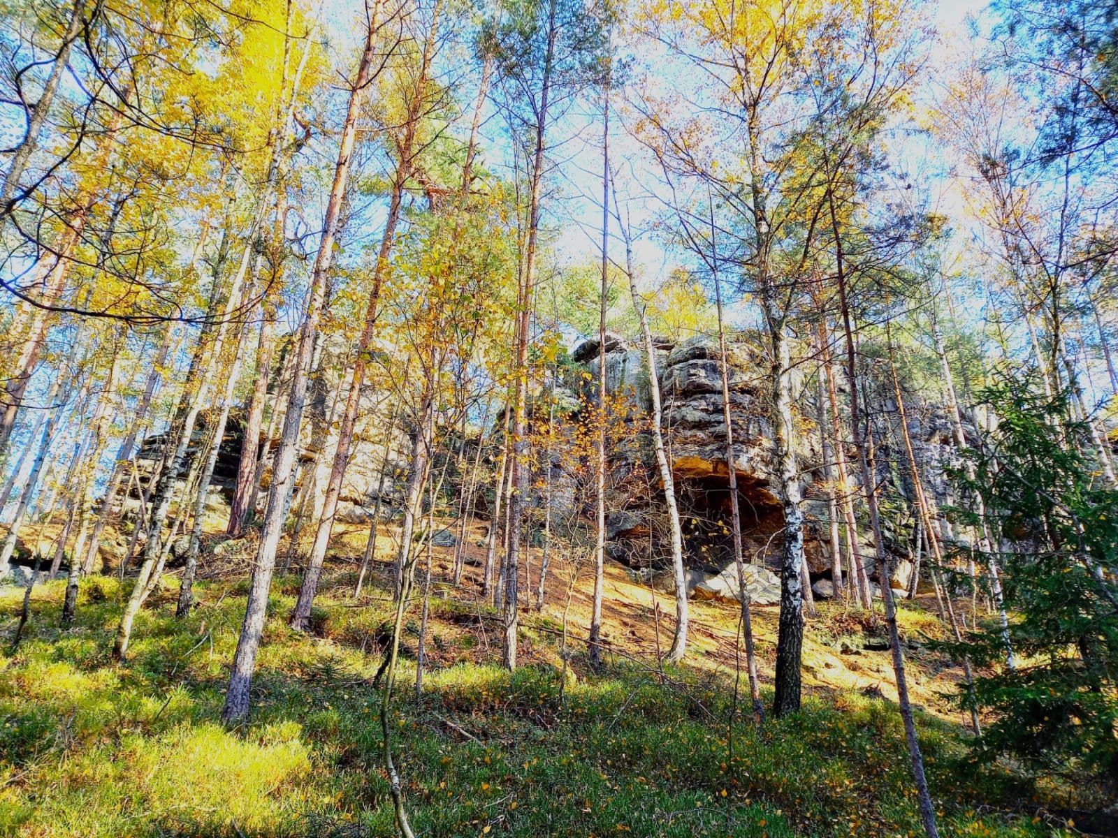 Prodej pozemku 1.742 m², Okna, Liberecký kraj Prodej pozemku 1.742 m², Okna, Liberecký kraj
