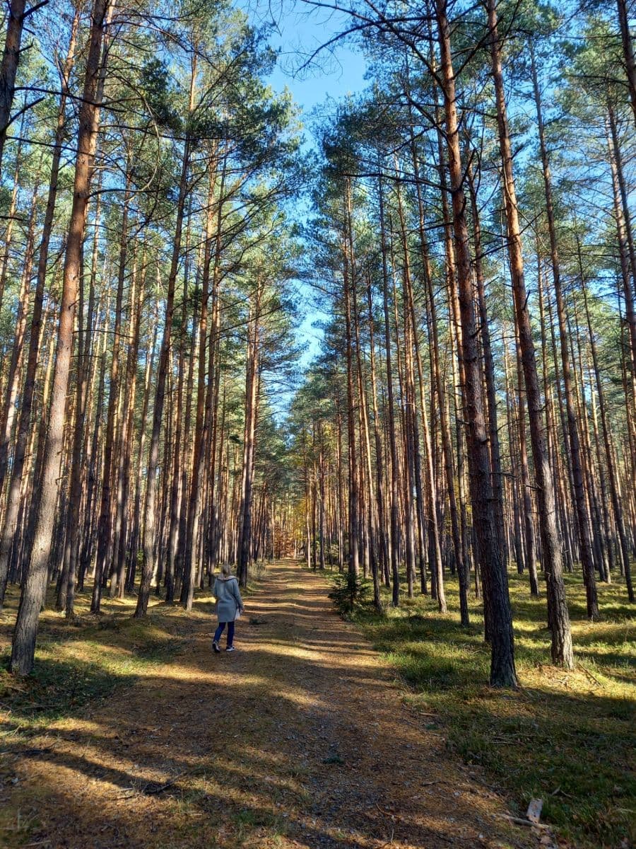 Prodej pozemku 1.742 m², Okna, Liberecký kraj Prodej pozemku 1.742 m², Okna, Liberecký kraj