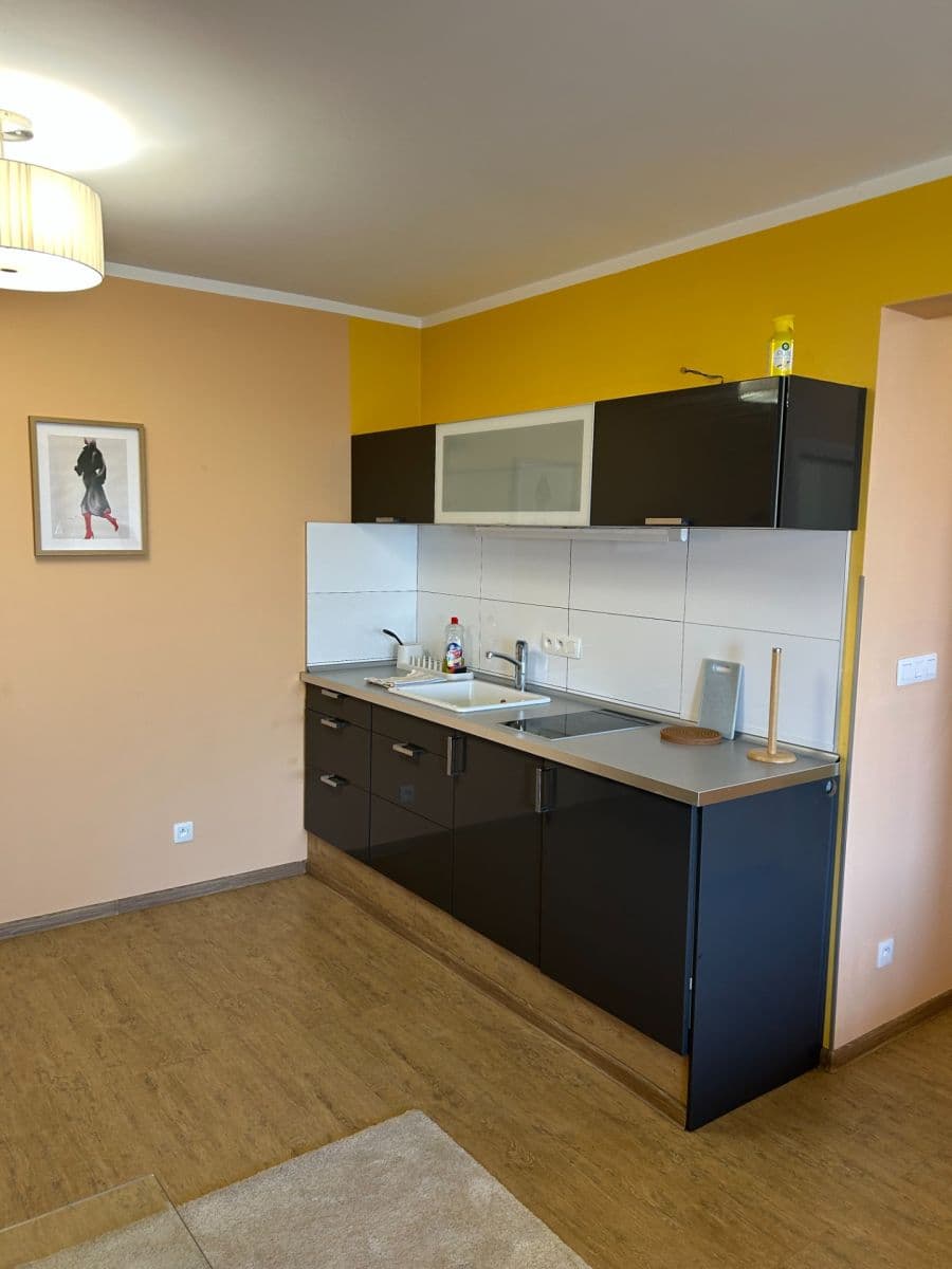Pronájem bytu 1+1 48 m², Hrachová, Ružinov, Bratislavský kraj Pronájem bytu 1+1 48 m², Hrachová, Ružinov, Bratislavský kraj