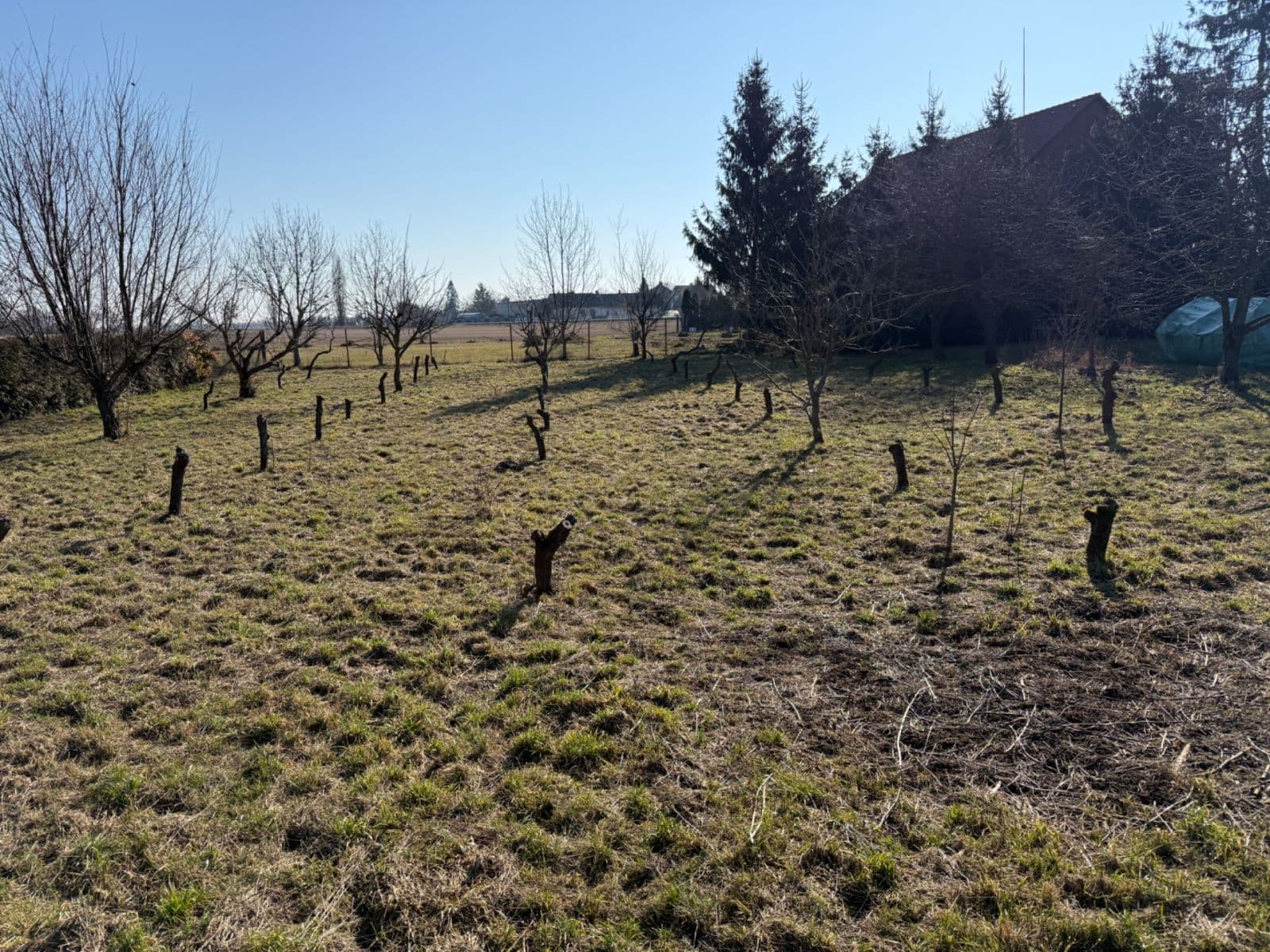 Prodej pozemku 732 m², Roudnice, Královéhradecký kraj Prodej pozemku 732 m², Roudnice, Královéhradecký kraj