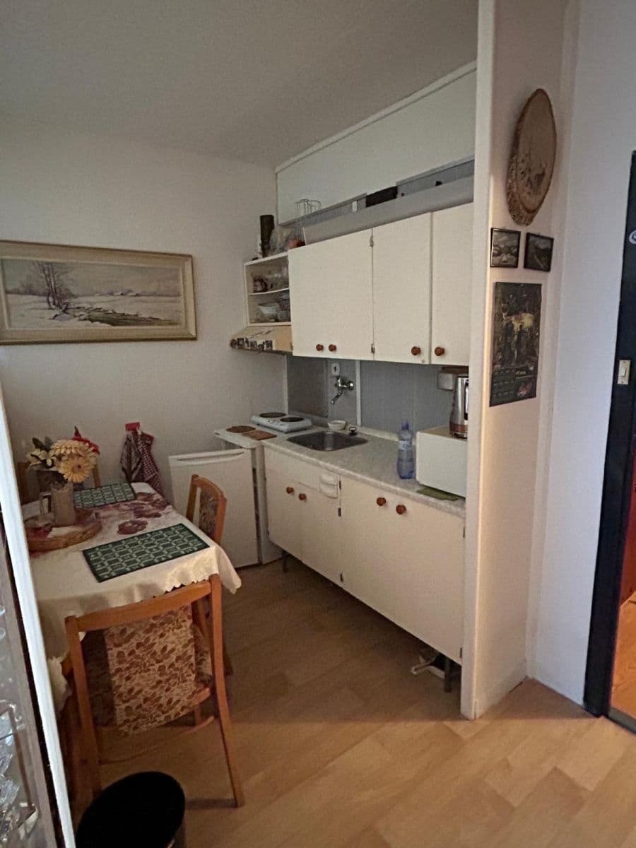 Prodej bytu 1+kk 27 m², Josefy Kolářové, České Budějovice, Jihočeský kraj Prodej bytu 1+kk 27 m², Josefy Kolářové, České Budějovice, Jihočeský kraj