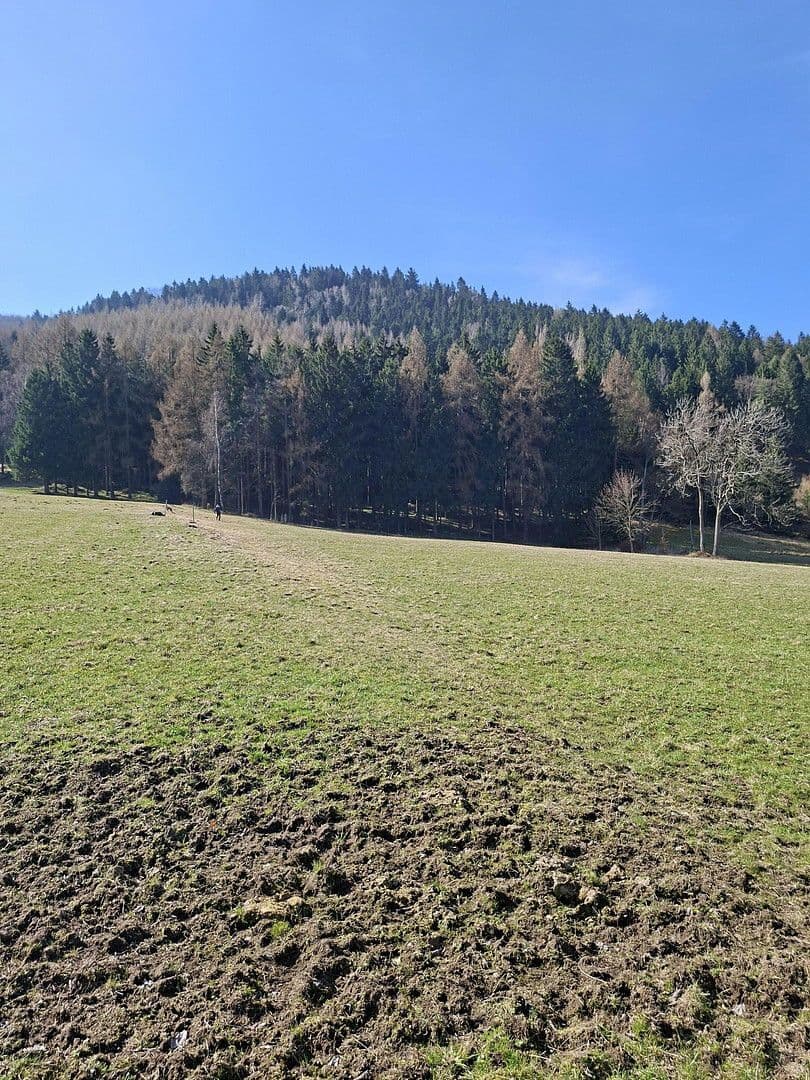 Prodej domu 100 m², pozemek 1.300 m², Hauptstraße 139, Großschönau, Sasko Prodej domu 100 m², pozemek 1.300 m², Hauptstraße 139, Großschönau, Sasko